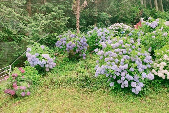 夏の涼