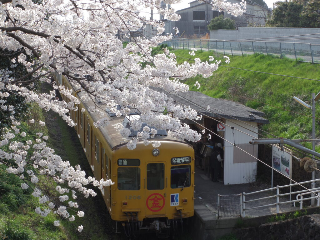 【エリア情報】香川県綾歌郡綾川町で建てる注文住宅