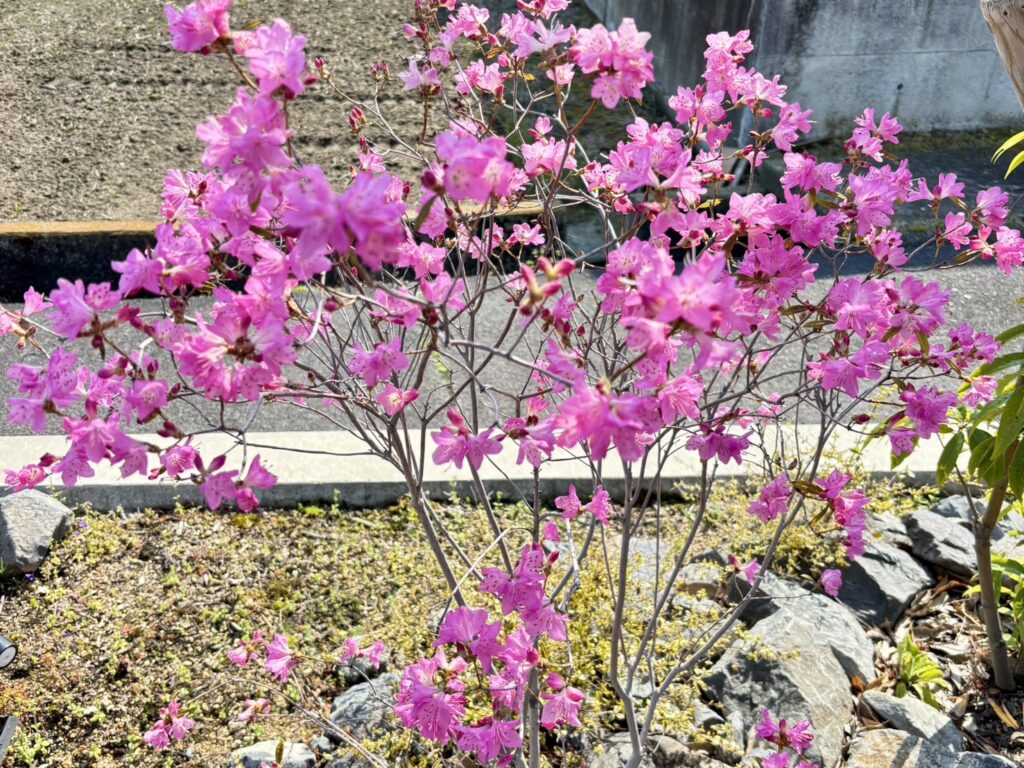 春の陽気